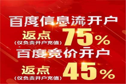 百度推广服务费案例解析：如何降低成本