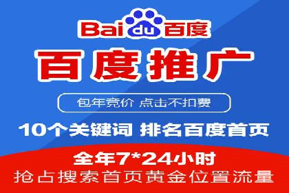 深入剖析SEM公司成功案例：数据驱动的广告策略